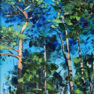 The Crown of Pines