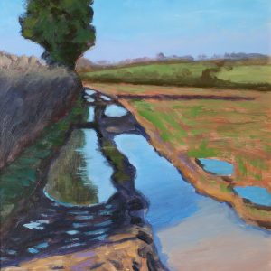 Beyond A Shadow Of A Drought